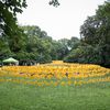 These 7,000 Pinwheels Have Brought Prospect Park's Rose Garden Back To Life